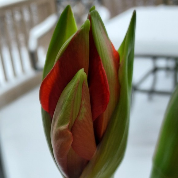 Meet your Posher, Posh - Picture 1 of 1